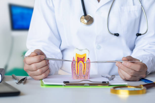 Best Pediatric Emergency Dentist in Woodbine, NJ
